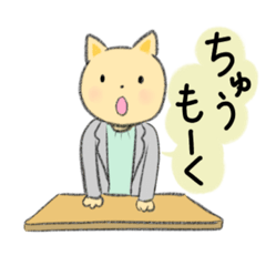 ねこの先生