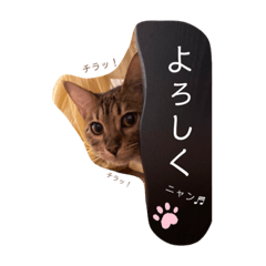 アリアちゃん⭐︎スタンプ