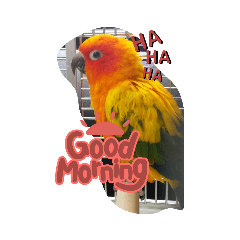 マリーちゃん返事スタンプ・2