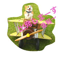 日常使えるコーギースタンプ