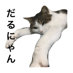 だるにゃん「ちぃくん」