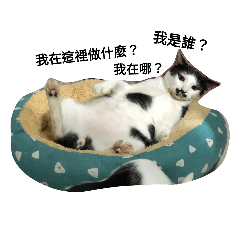 rosemary_20210906152601