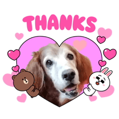 キースとブラウン達