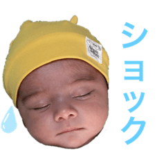 ダミちゃんスタンプ