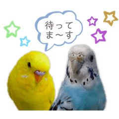 きいちゃん＆そらちゃん スタンプ第2弾！！