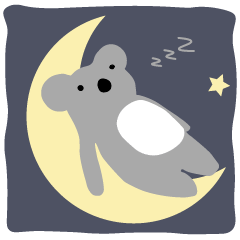 コアラ feat.漢方医院 & 仲良し猫