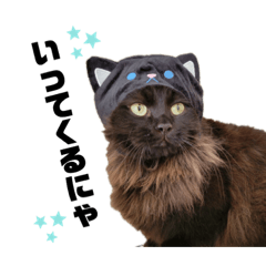 豆太とマフィンの日常スタンプ