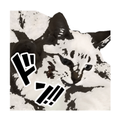 イロハちゃん。