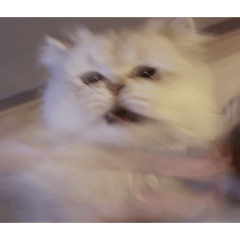 みいの感情スタンプ