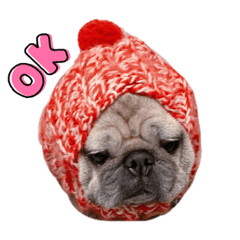 ぼくたちぱぐちゃんず