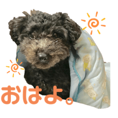 なつだよりあるいぬ。