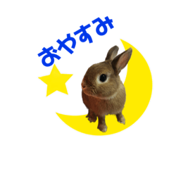 あいさつぷりん