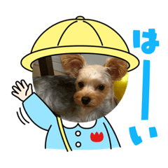 愛犬スタンプ買っていただければ嬉しいです