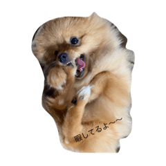 くうちゃーちゃん