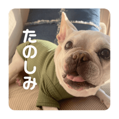 ちゅらちゃん④