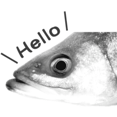 つりきちとおさかな ver.01