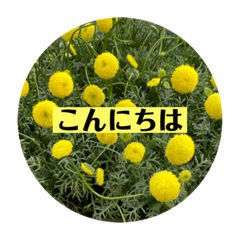 シンプル生花スタンプ