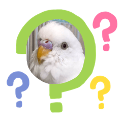 鳥のいる生活パート2