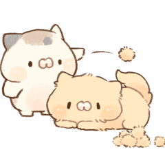 動く♫となりのにゃんこ♡ミケ３