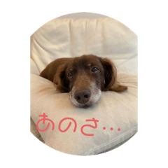 チップスタンプ　日常