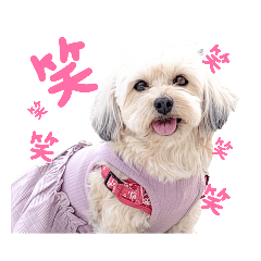 マルックスの挨拶