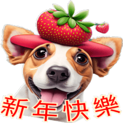 Jinse Unexplained Fifty Mysteries