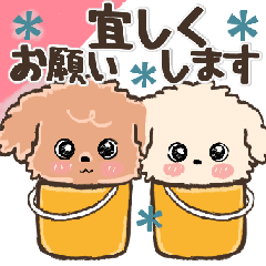 愛犬ワンコde一年中使える♡トイプー