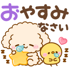 可愛い♡トイプードル