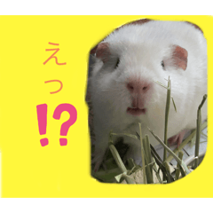 我が家のだいふくスタンプ