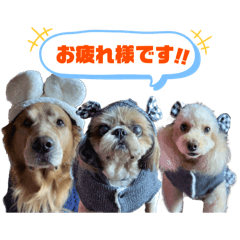 うちの子おいもこむぎすかい