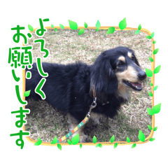 らなぽん挨拶スタンプ