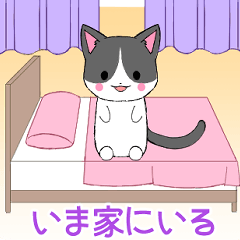 ちびにゃんこ10【いま何してる？】