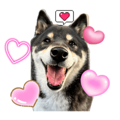 わたしのクロエ