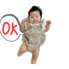 おにぎりおりは