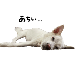 蓮の日常スタンプ1