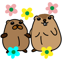 ヒマラヤマーモットとウッドチャック