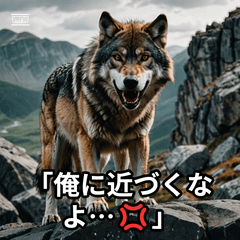 ツンデレ動物、素直じゃない！