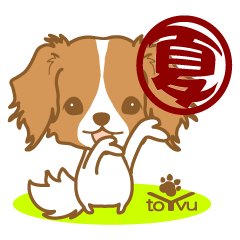 わんこびより(コーイケルフォンディエ)①