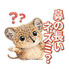 ハネジネズミ：ゾウぽい長い鼻の可愛いやつ