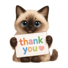 毎日使える！こはく君