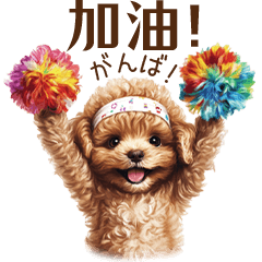 中国語(台湾)♪トイプードルの挨拶