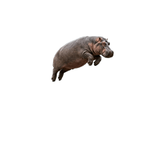【小さく表示される】カバ