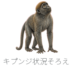 キプンジ状況そろえ