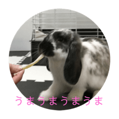 俺得！チップのスタンプ！