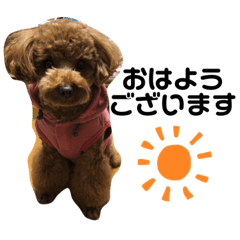 プードルのRinちゃんスタンプ 〜敬語〜