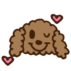 個性的なプードル家族