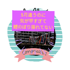 5月違うのに鯉のぼり早くない。
