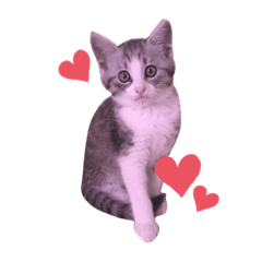 ぐぅちゃんのスタンプ