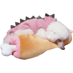 山田ナッツと愉快な仲間たち