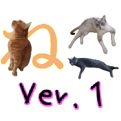 わんどのねこ Ver.1